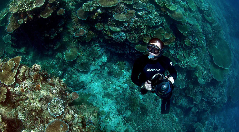 7pm (doors from 6:30pm)