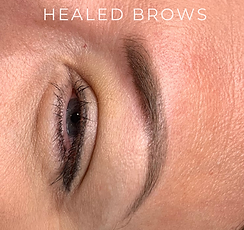 healed brows website.png
