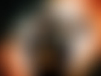 "Pour un ovni, c’en est un !" Le webzine "Aux portes du metal"parle d'Animø Virile