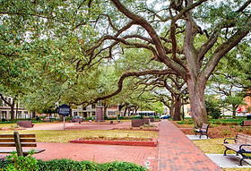 tirzepatide weight loss northpark mall Tirzepatide & Zepbound Weight Loss in Jacksonville, FL  With or Without  Insurance