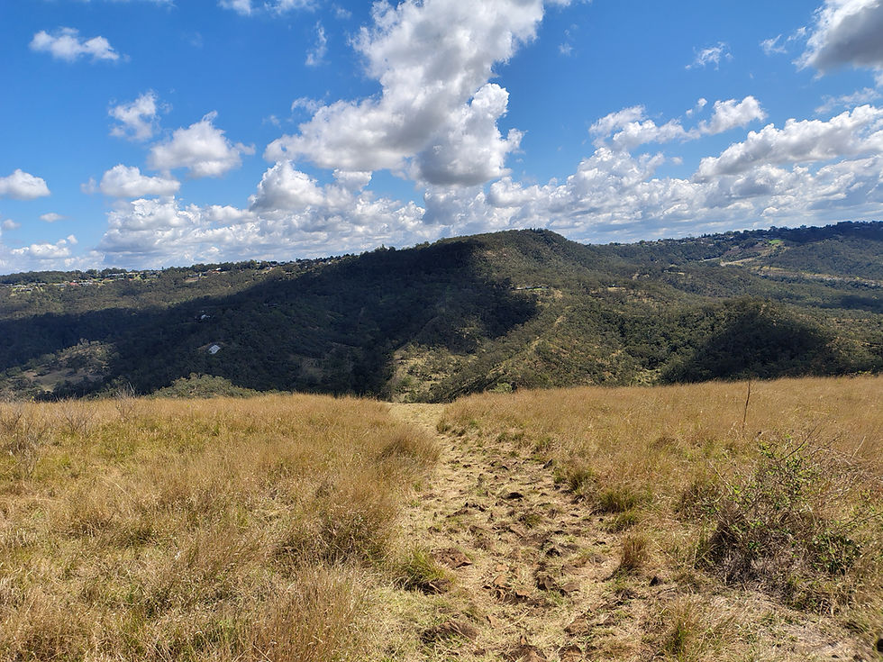 IMG_20250914_122728777_HDR.jpg
