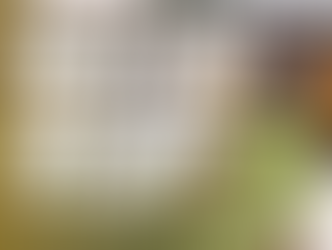 USASA AMATEUR CUP MEN’S SOCCER: Michigan Stars explode for three second-half goals in victory over Inter Detroit