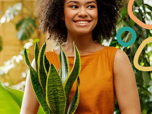 Keep Them Alive Through Seasons