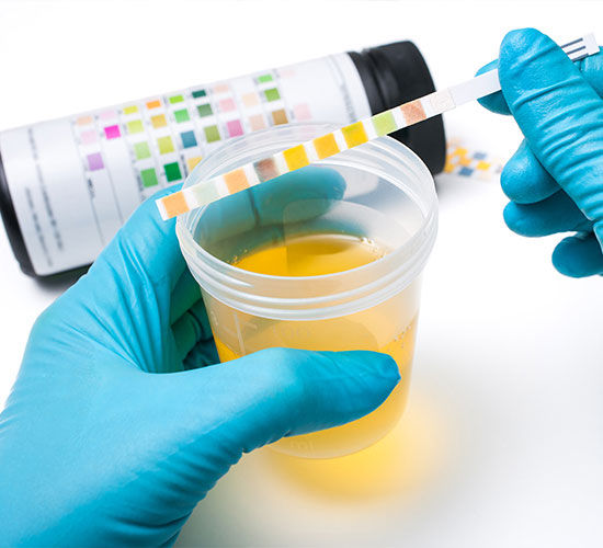 Laboratory In Satellite Area