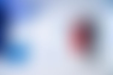 Canarias plantea la colaboración entre sector público y privado como clave de la recuperación