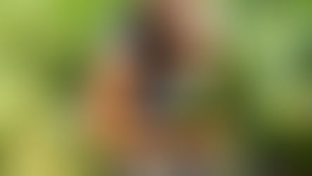 Avanza la elaboración del programa con foco en el empleo, la innovación social y los retos del sector.