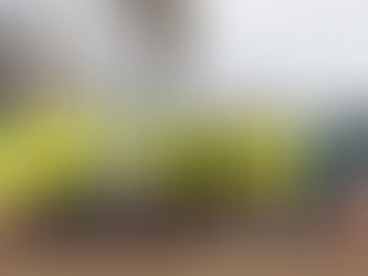 Más de 100 experiencias turísticas gratuitas enecoactivacanarias.com