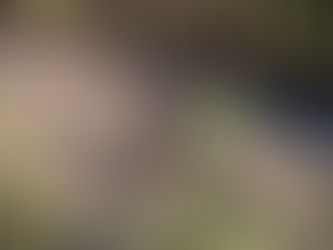 Artenara Trail 2020 aplaza su celebración al mes de abril