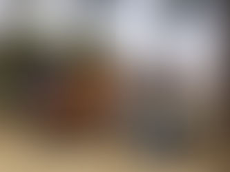 La Escuela de Trail Transgrancanaria realiza su VI actividad en compañía de Luca Papi
