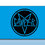 Thumbnail: Camper (Slayer) Flag - Colour Options