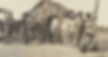 nlahorseshoecreekpolcells.jpg