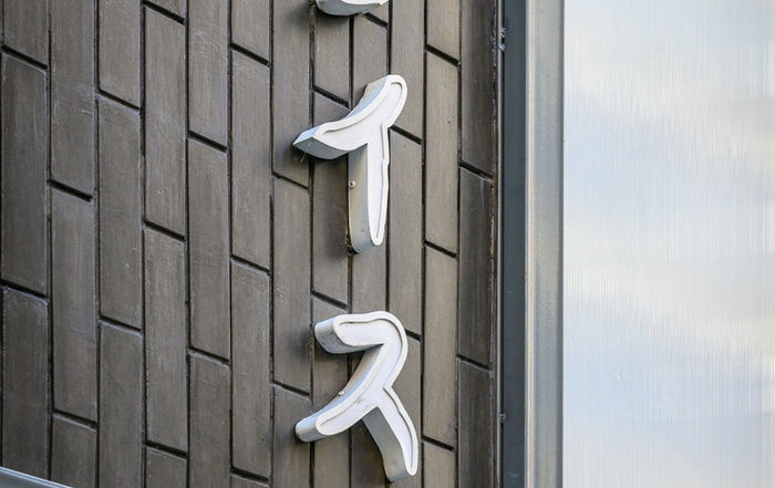 Tejuela gris oscura.