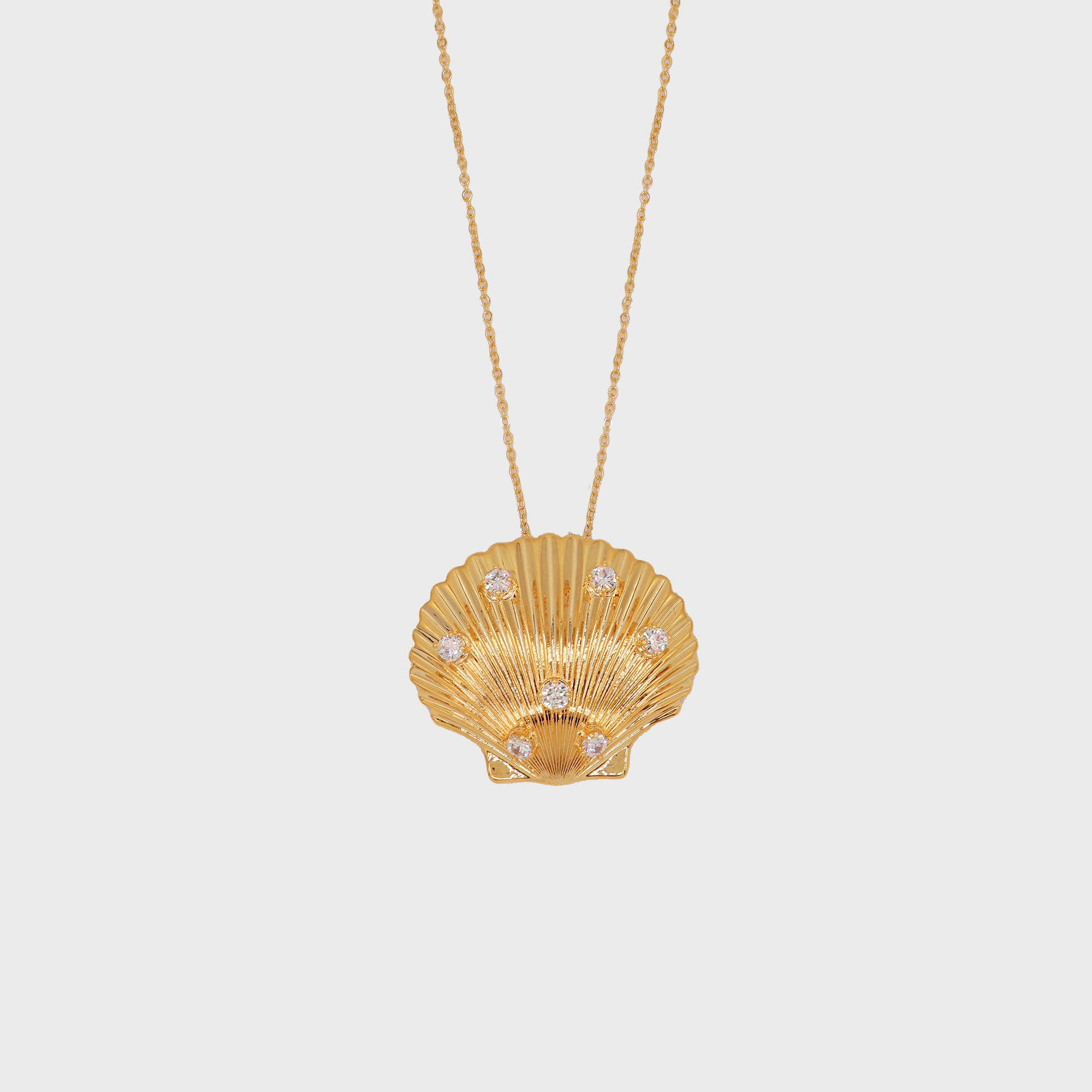 Seashell Pendant Necklace
