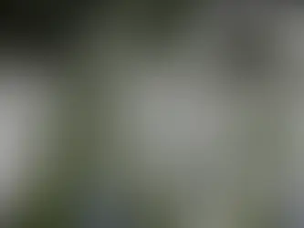 Srebrenitsa Soykırımı Yıl Dönümü