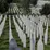 Srebrenitsa Soykırımı 30. Yıl