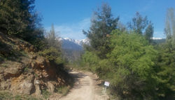 uludağ etekleri-güney