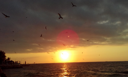 erdekte gün batımı.