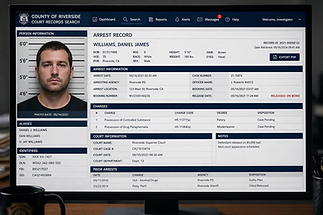 Arrest Record.png