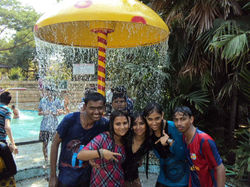 313905_441176509282425_473407138_n