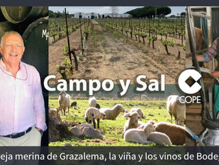 Entrevista al Secretario-Ejecutivo de AMEGRA en el programa "Campo y Sal" de la cadena COPE