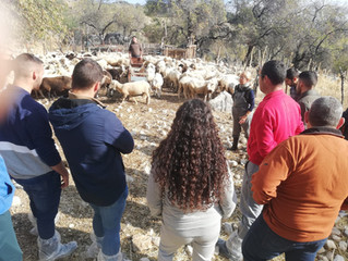 Dos socios de AMEGRA recibieron la visita de los alumnos de la ESCUELA DE PASTORES DE
ANDALUCIA