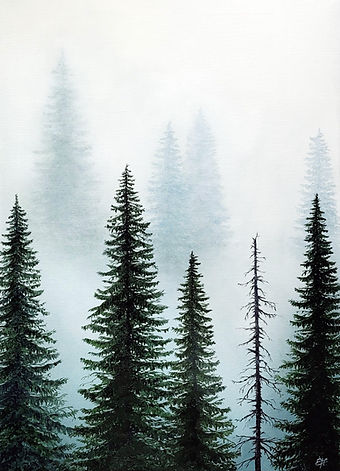 Zamglony las 