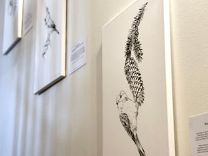 Tiaiseni lennähtivät Krapihovin seinille