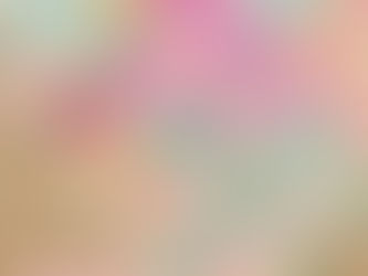 【11/26開催】Mayo Tea Room