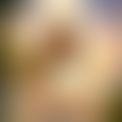 【4月スタート】豊かさを受け取るセミナー