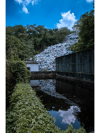 下載 (1)_edited_edited.png