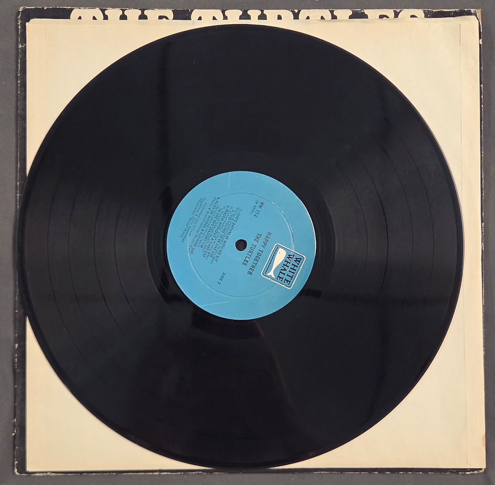 Miniatura: The Turtles - Happy Together (1967)