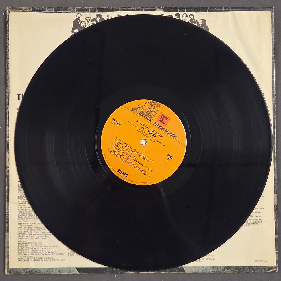 Miniatura: Neil Young - After the Gold Rush (1970)