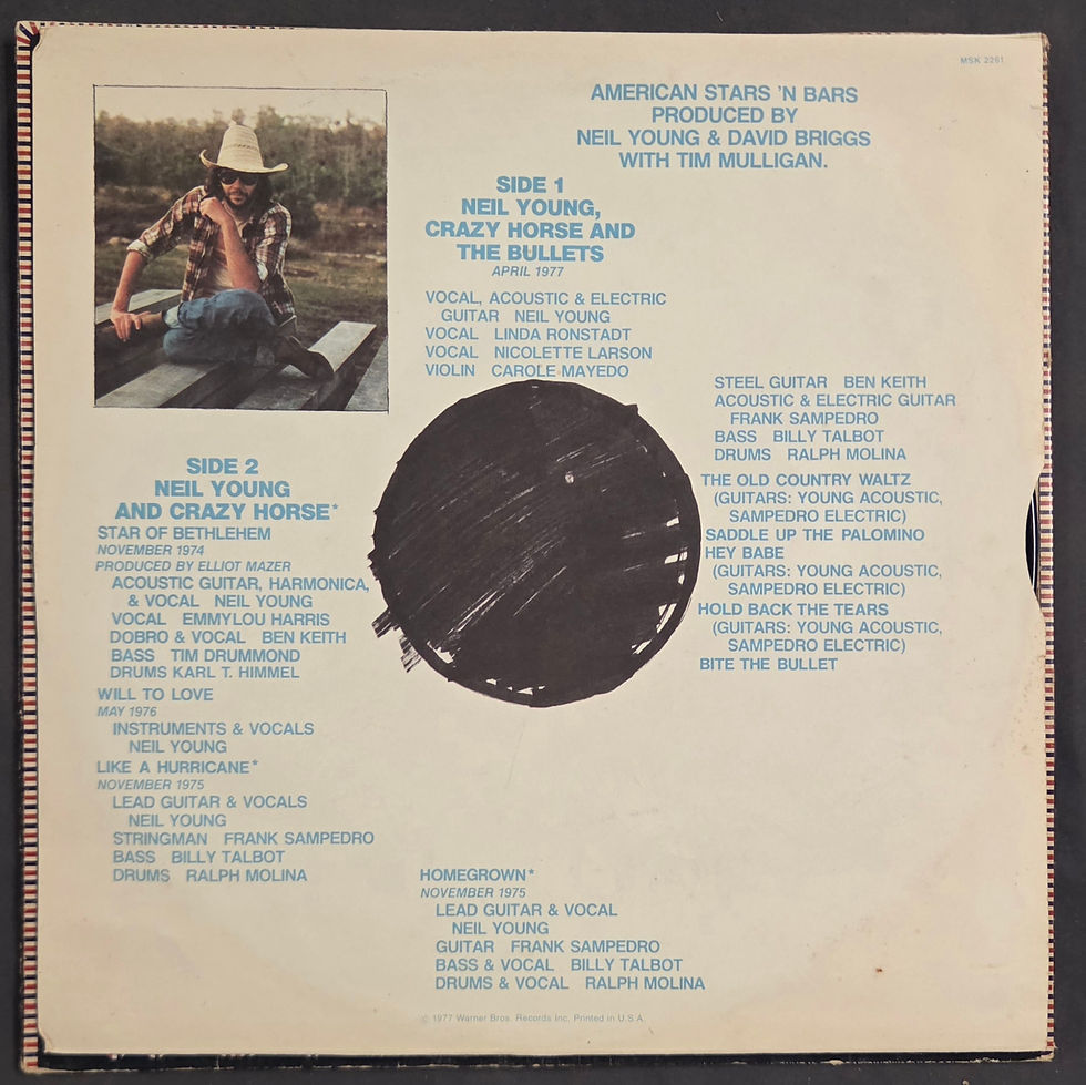 Thumbnail: Neil Young - American Stars 'n Bars (1977)