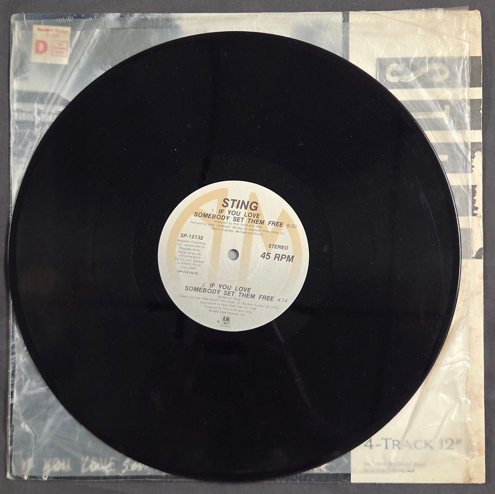 Miniatura: Sting - Another Day/If You Love Somebody, Set Them Free  (1985)