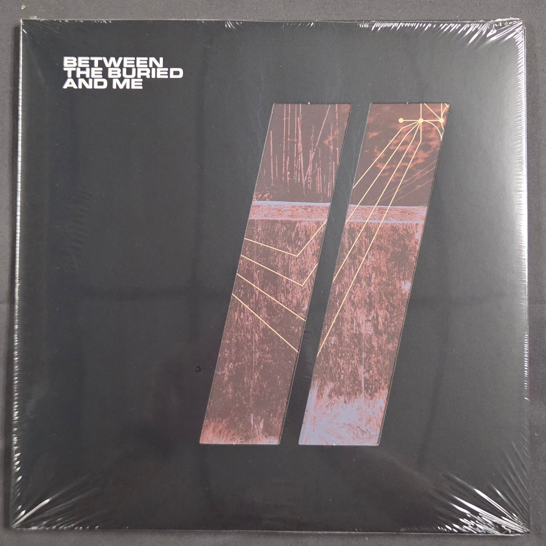 Between the Buried and Me - Colors II (2021)