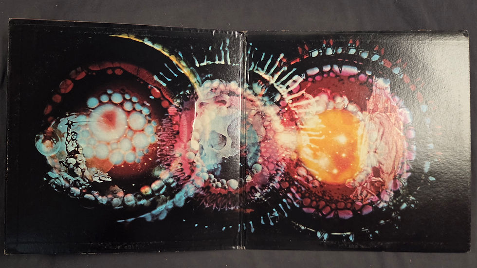 Miniatura: Paul Kantner and Grace Slick - Sunfighter (1971)