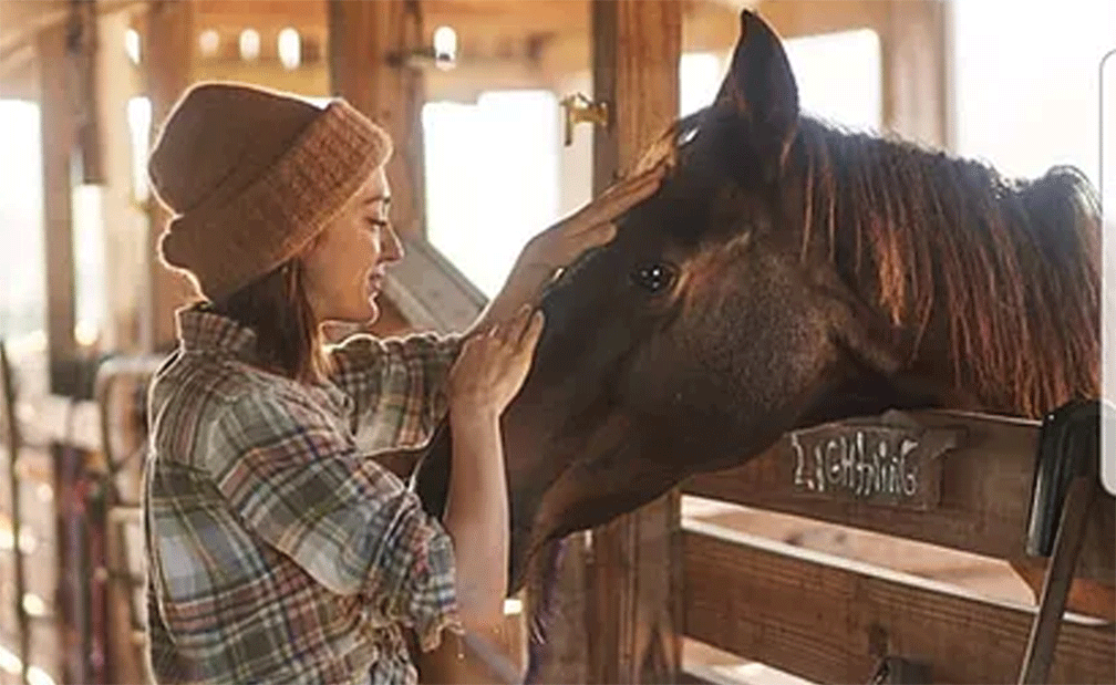 love on the horses