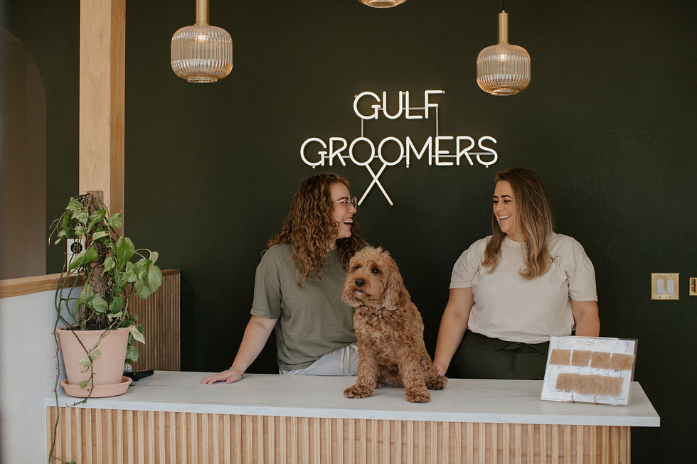 Eye-level view of a grooming station in a calm pet salon