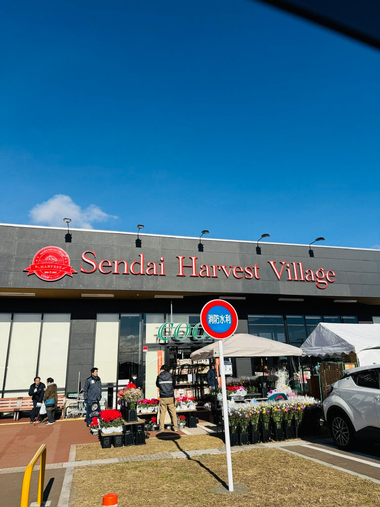 ニューオープン!仙台ハーベストビレッジ みやぎ生協で 腸活ラボの「仙台キムチ」が買えます✨