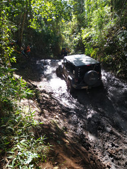 IMG_20190706_131047461