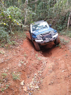 IMG_20190706_103510883