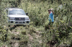 photo5057996428755970138