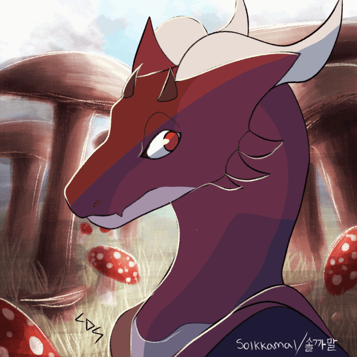 image1.gif