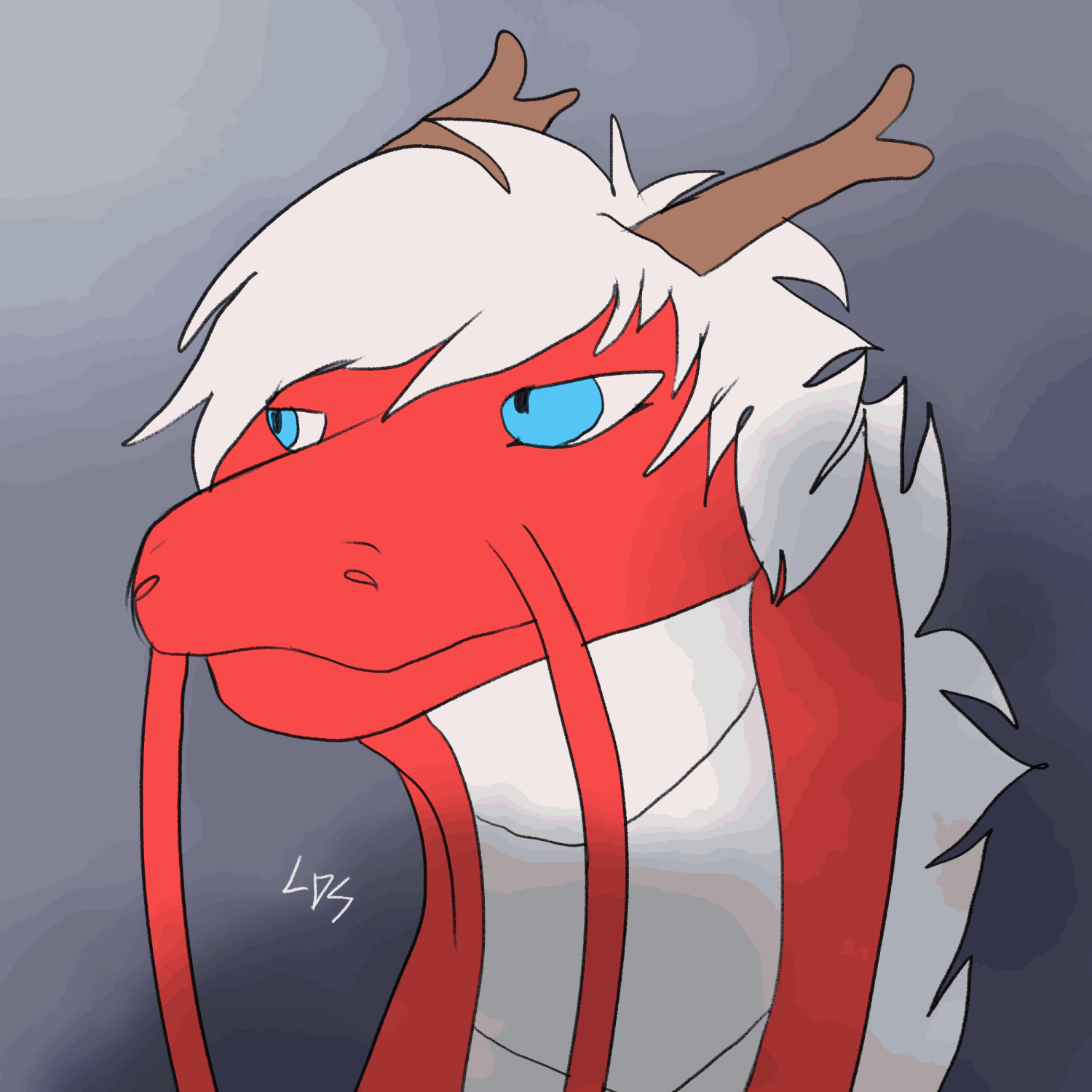 image4.gif