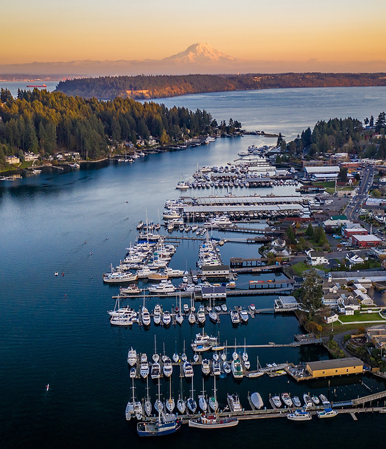 Marina with Mount Rainier in the background