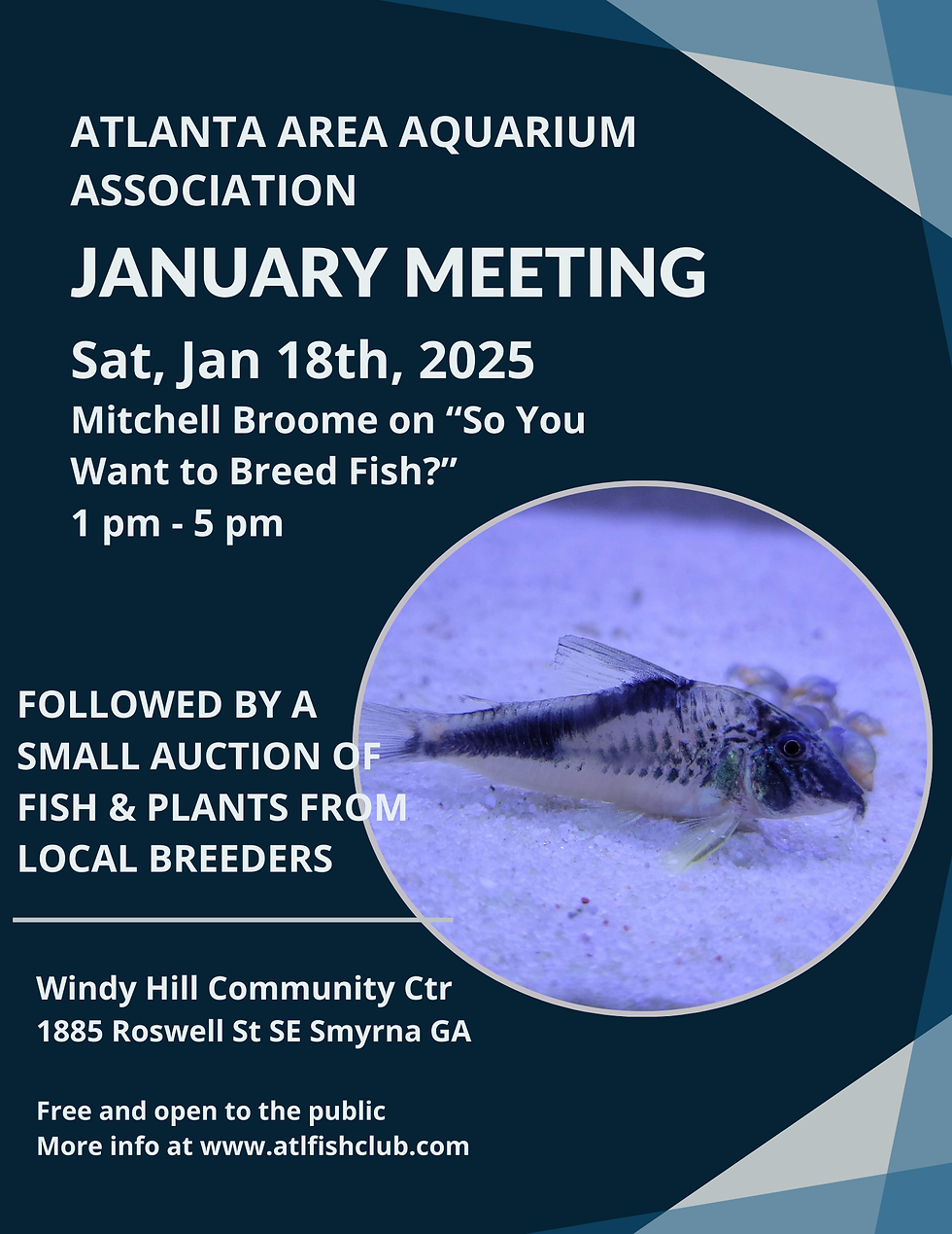 AAAA January Meeting