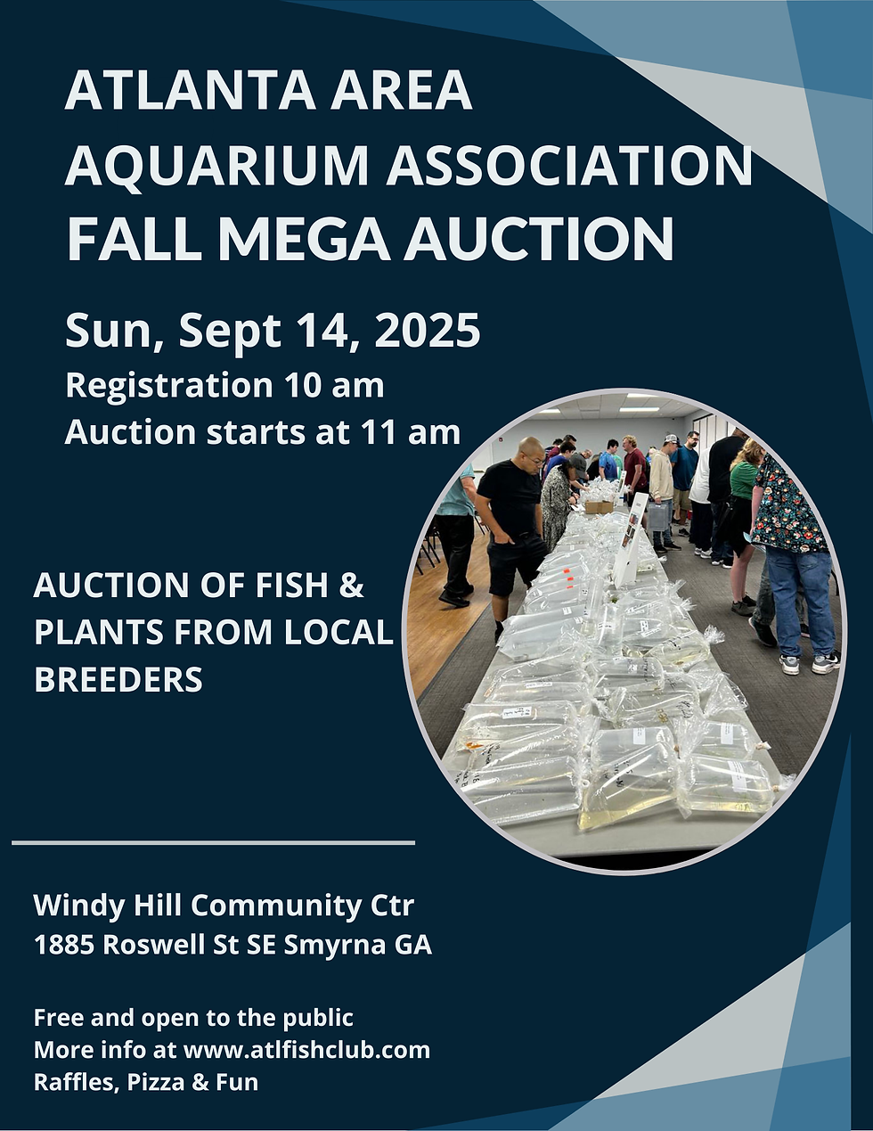 AAAA Fall Mega Auction