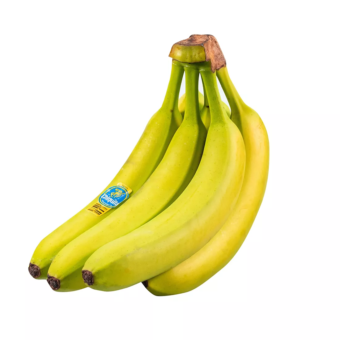 Organic Bananas