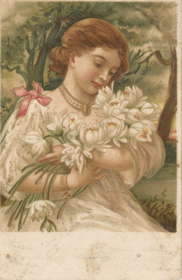 6. Cartão postal 1901