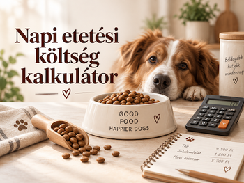 Napi etetési költség kalkulátor